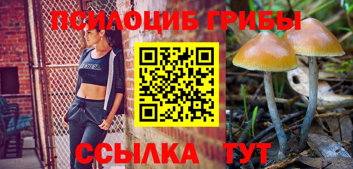 Псилоцибиновые грибы прущие грибы Тутаев