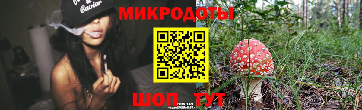 Псилоцибиновые грибы мухоморы  Вход с VPN  Тутаев  Псилоцибиновые грибы прущие грибы 